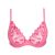 Paradise Pink