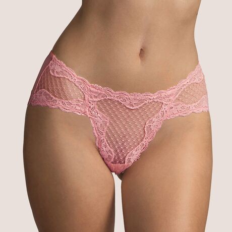 Andres Sarda Zaha Brief