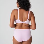 PrimaDonna Orlando Full Brief