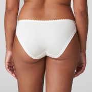 PrimaDonna Springdale Brief