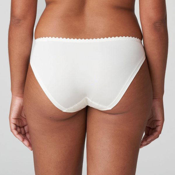 PrimaDonna Springdale Brief