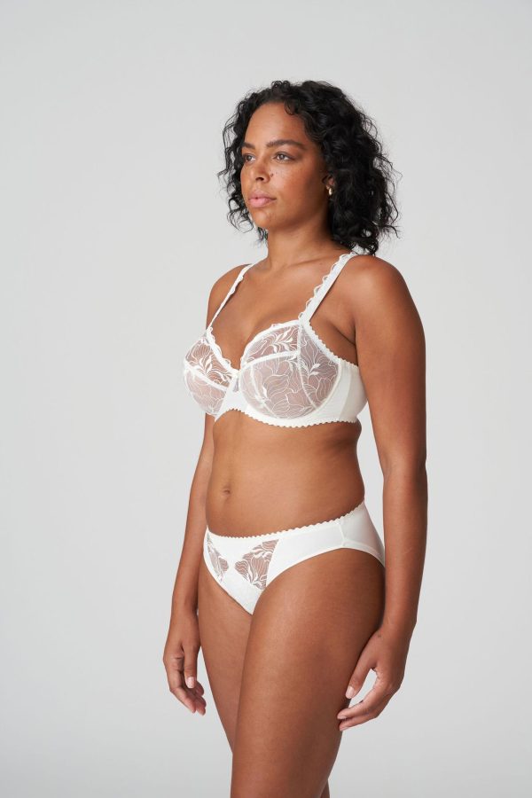 PrimaDonna Springdale Brief
