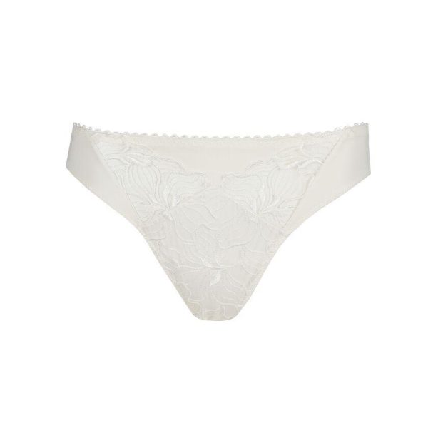 PrimaDonna Springdale Brief