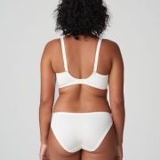 PrimaDonna Springdale Brief