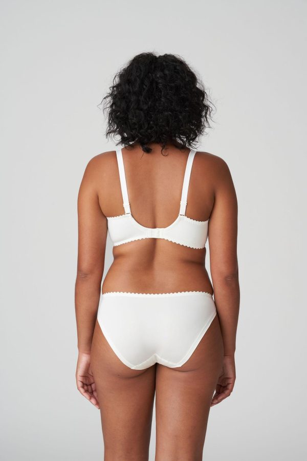 PrimaDonna Springdale Brief