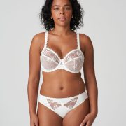 PrimaDonna Springdale Brief