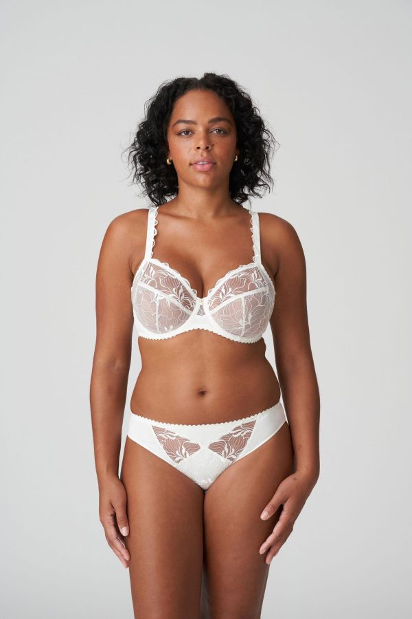PrimaDonna Springdale Brief
