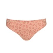 PrimaDonna Madison Brief