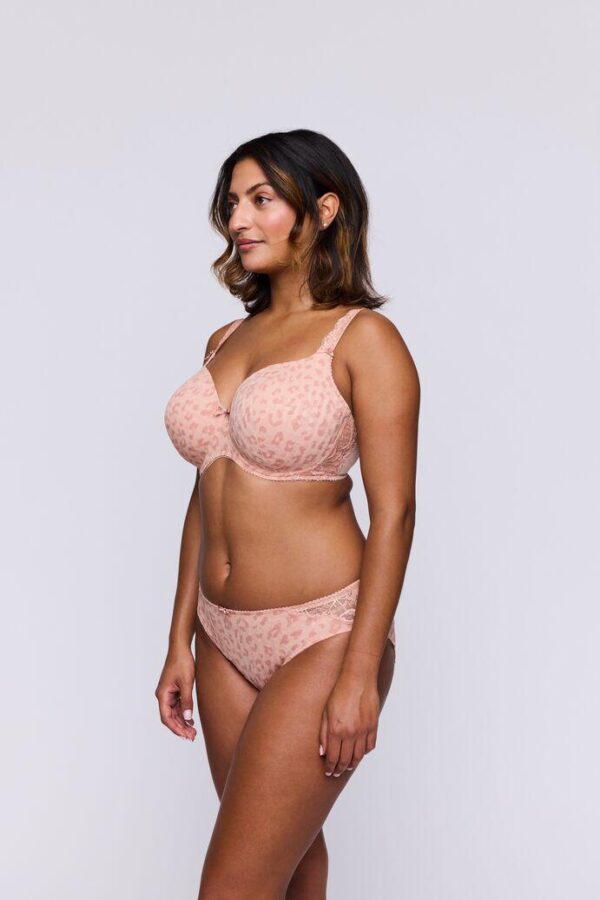 PrimaDonna Madison Brief