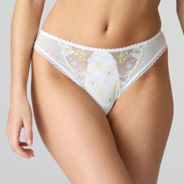Marie Jo Chen Brief